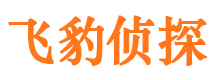 贵定市婚外情调查